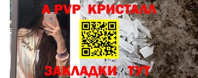 стафф Шебекино