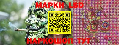 стафф Шебекино