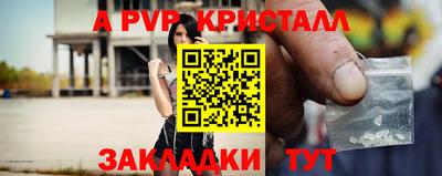 стафф Шебекино